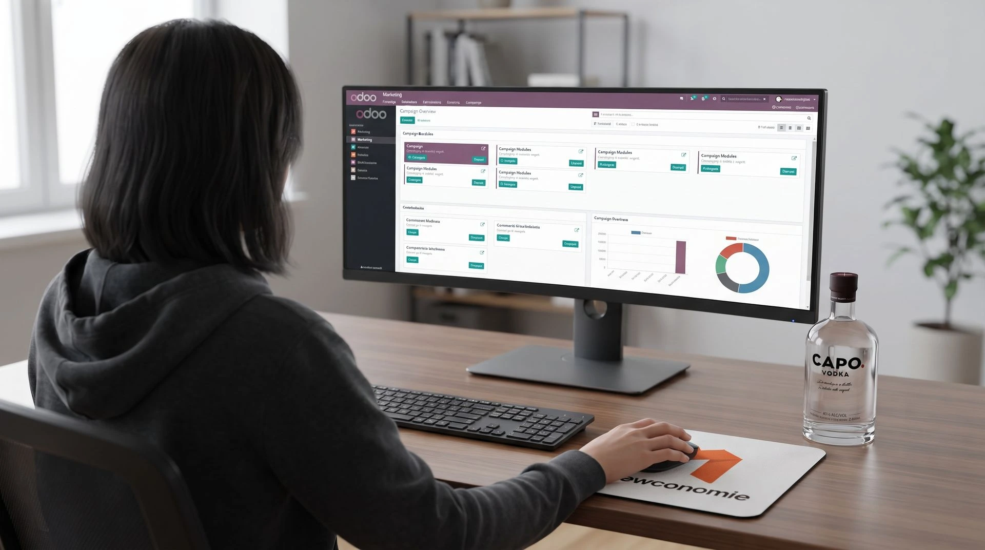 Odoo implementatie voor Capo Spirits door Newconomie